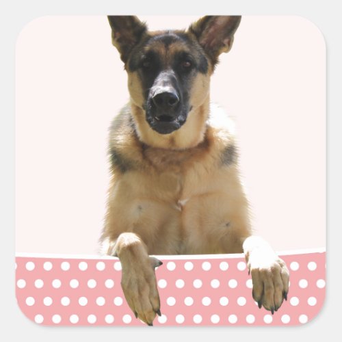 German Shepherd Dog Pink Polka Dots Square Sticker