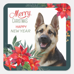 German Shepherd Dog Poinsettia Bouquet Christmas Square Sticker