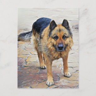 German Shepherd Dog Postcard