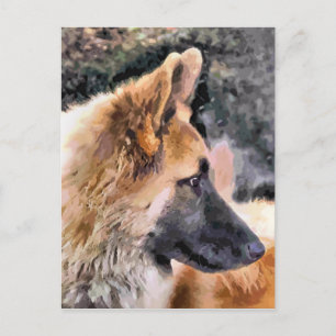GERMAN SHEPHERD DOG POSTCARD