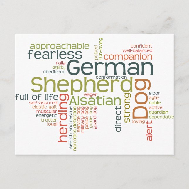 German Shepherd Dog Postcard (Front)
