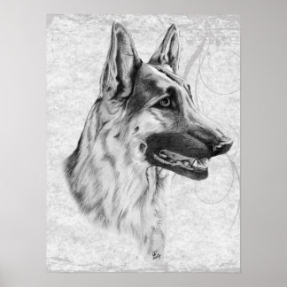 German Shepherd Dog Posters | Zazzle