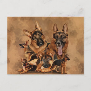German Shepherd Dog - puppy, young, adult Holiday Postcard