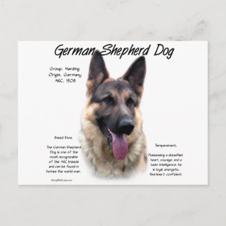 German Shepherd Dog (sable) History Design Postcard