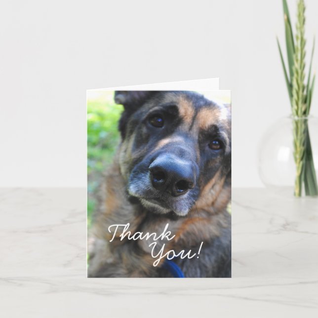 German Shepherd Dog Thank You Card (Front)