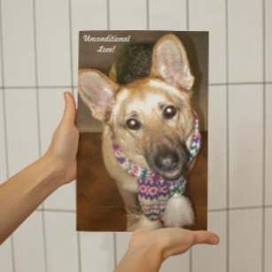 German Shepherd Dog Unconditional Love Photo Print