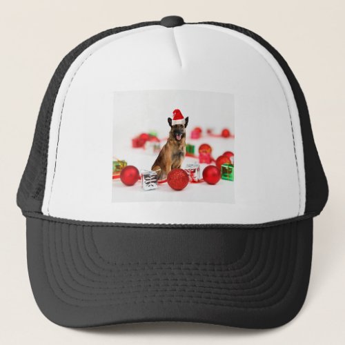 German Shepherd dog w Christmas Gifts Santa Hat