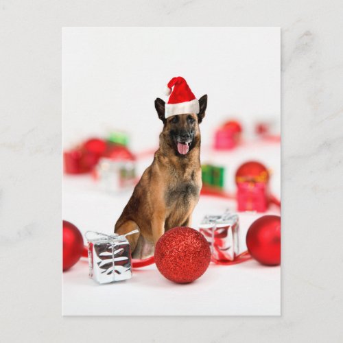 German Shepherd dog w Christmas Gifts Santa Hat Holiday Postcard