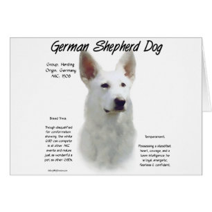 German Shepherd Dog (wht) History Design Cards