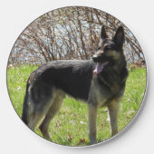 German Shepherd Dog Wireless Charger (Front)
