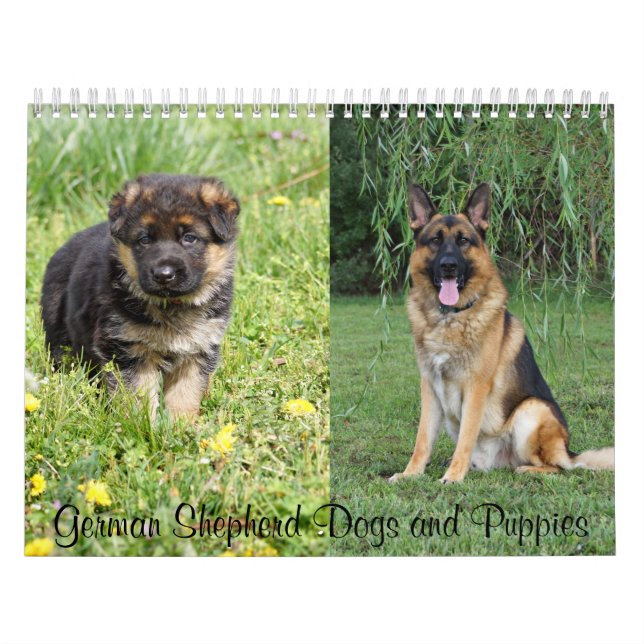 German Shepherd Dogs and Puppies Calendar  (Cover)
