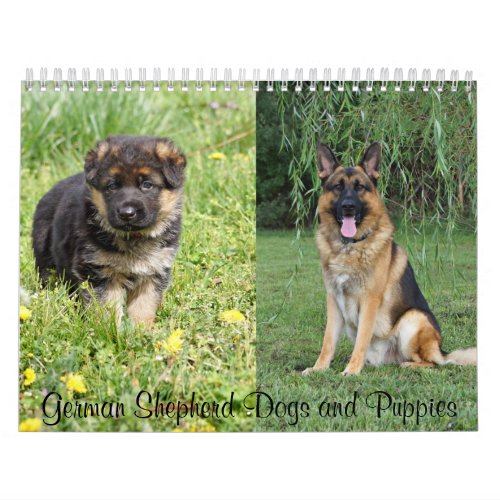 German Shepherd Dogs and Puppies Calendar 