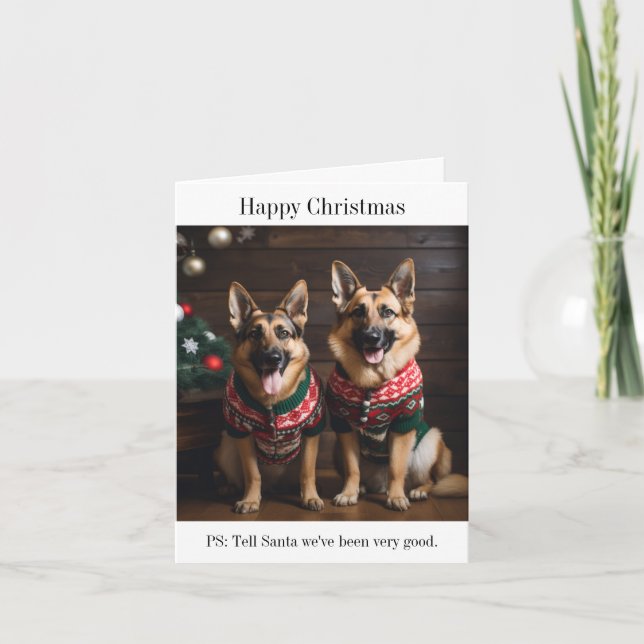 German Shepherd Dogs in Christmas Sweaters Card (Front)