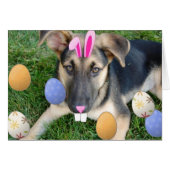 German Shepherd Easter Puppy (Front Horizontal)