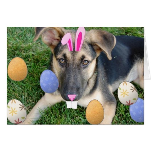 German Shepherd Easter Puppy Cards (Front Horizontal)