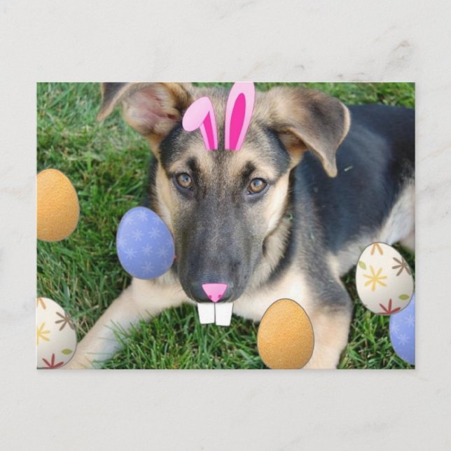 German Shepherd Easter Puppy Holiday Postcard (Front)