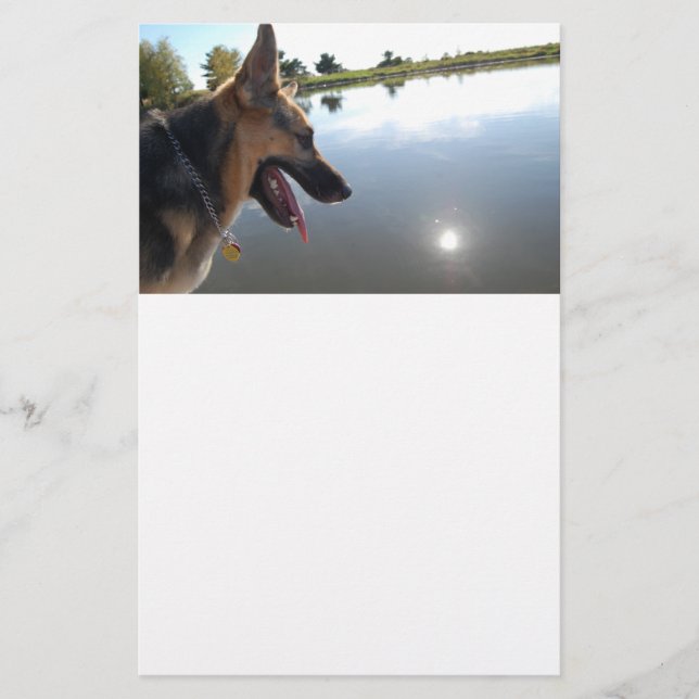 German Shepherd/Enjoying the View Stationery (Front)