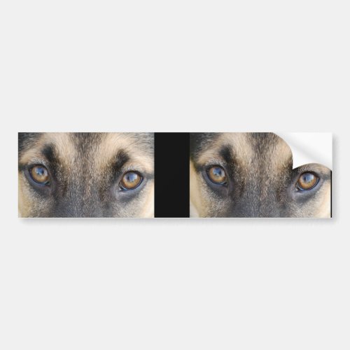 German Shepherd Eyes Bumper Sticker