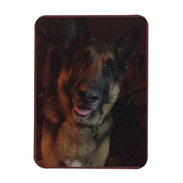 German Shepherd Fridge magnet (Vertical)