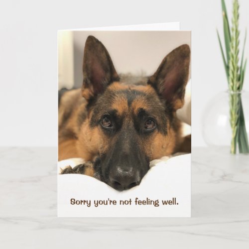 German Shepherd Get Well Card