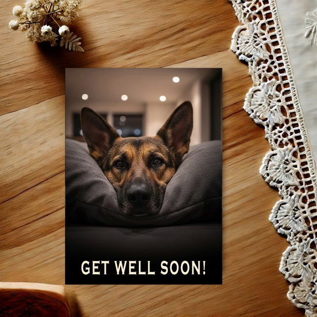 German Shepherd Get Well Postcard (Creator Uploaded)
