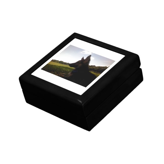 German Shepherd giftbox Gift Box (Side)
