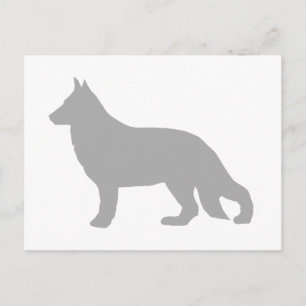 German Shepherd Gray Silhouette Postcard
