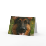 German Shepherd Greeting Card