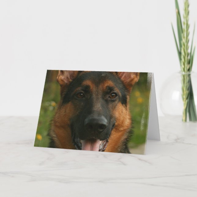 German Shepherd Greeting Card (Front)