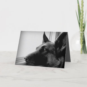German Shepherd Greeting Card