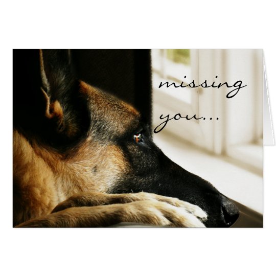 German Shepherd Greeting Card
