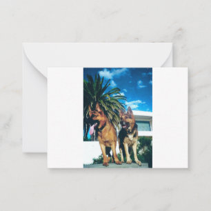german shepherd group note card
