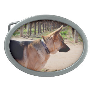 German Shepherd Guard Duty, Belt Buckle