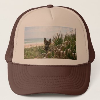 German Shepherd Hat Beachgrass by normagolden at Zazzle