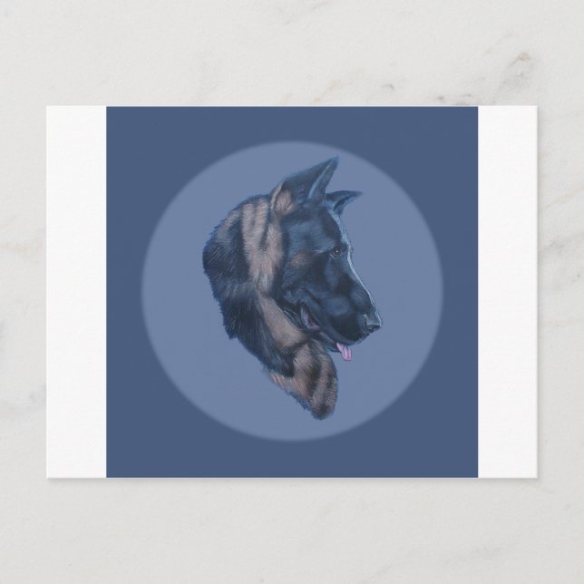 German Shepherd Head Study Postcard (Front)