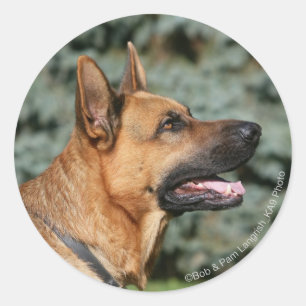 German Shepherd Headshot 1 Classic Round Sticker
