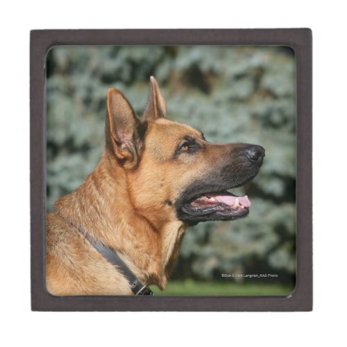 German Shepherd Headshot 1 Jewelry Box