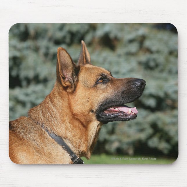 German Shepherd Headshot 1 Mouse Pad (Front)