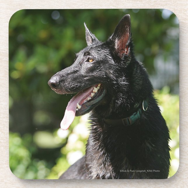 German Shepherd Headshot 2 Drink Coaster (Front)