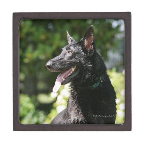 German Shepherd Headshot 2 Keepsake Box