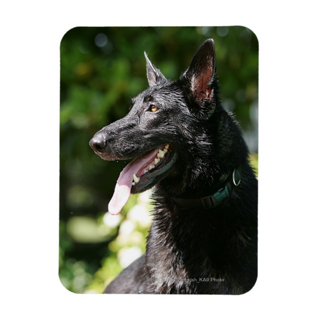 German Shepherd Headshot 2 Magnet (Vertical)
