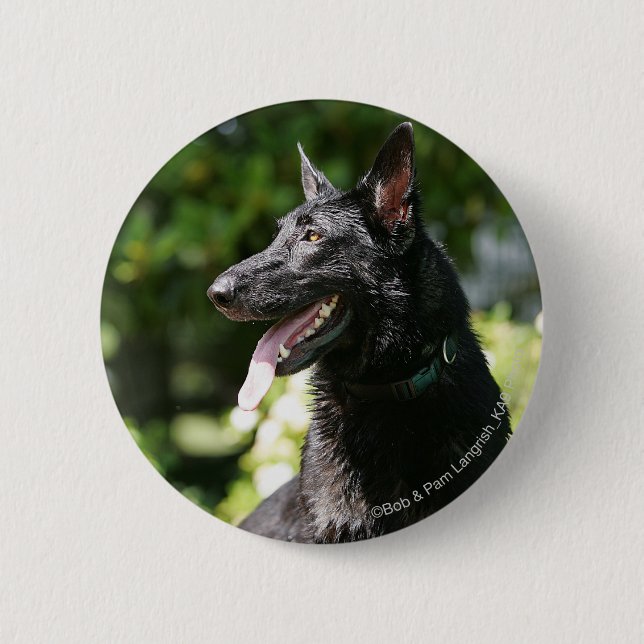 German Shepherd Headshot 2 Pinback Button (Front)
