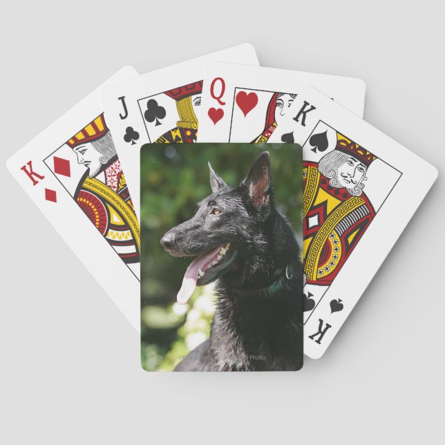German Shepherd Headshot 2 Poker Cards (Back)