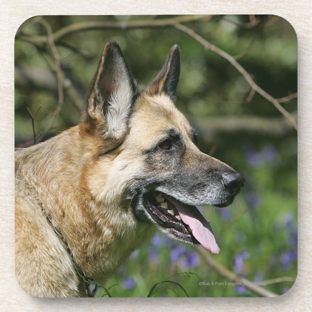 German Shepherd Headshot 3 Drink Coaster (Front)