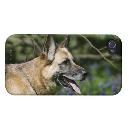 German Shepherd Headshot 3 iPhone 44S Case