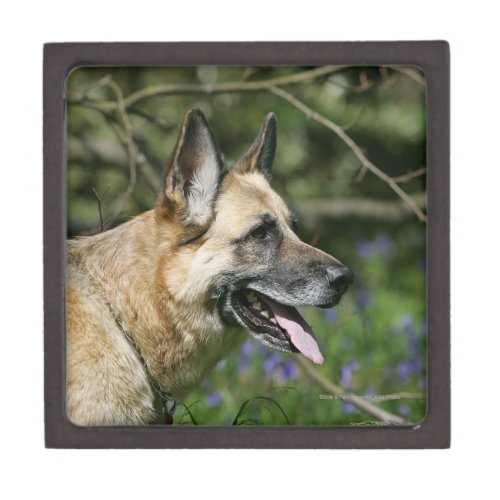 German Shepherd Headshot 3 Keepsake Box