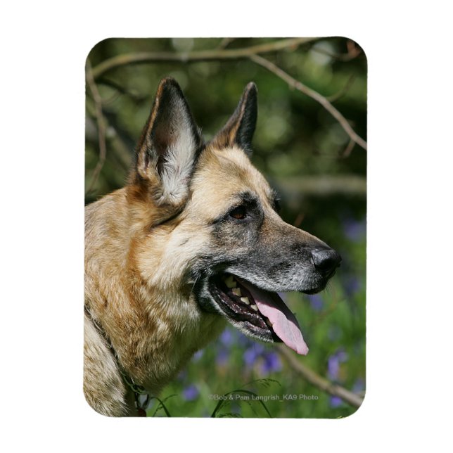 German Shepherd Headshot 3 Magnet (Vertical)