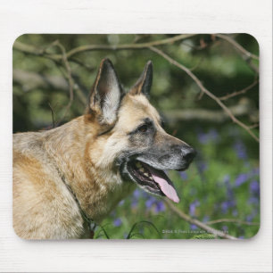 German Shepherd Headshot 3 Mouse Pad