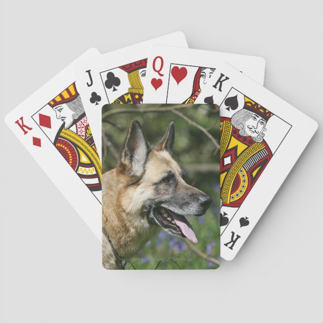 German Shepherd Headshot 3 Poker Cards (Back)