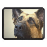 German Shepherd Hitch Cover